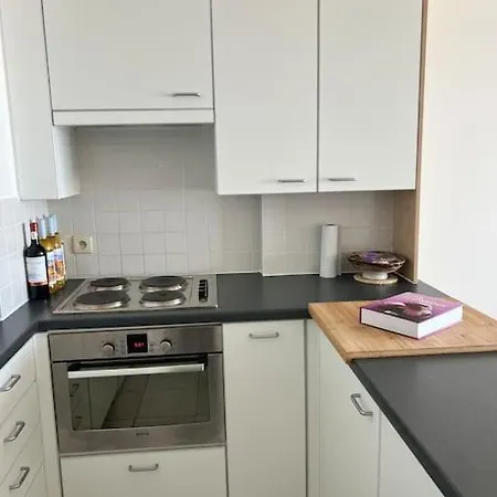 Ruim 2kamer App Met Zeezicht Incl En Parking Apartment