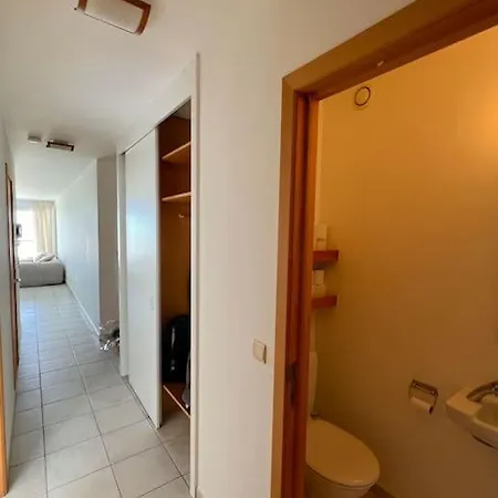 Ruim 2kamer App Met Zeezicht Incl En Parking *