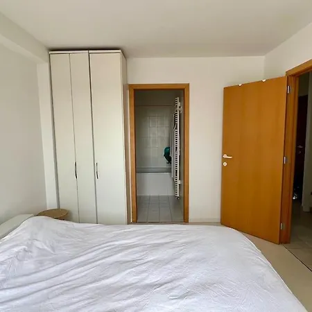 Ruim 2kamer App Met Zeezicht Incl En Parking Apartment *